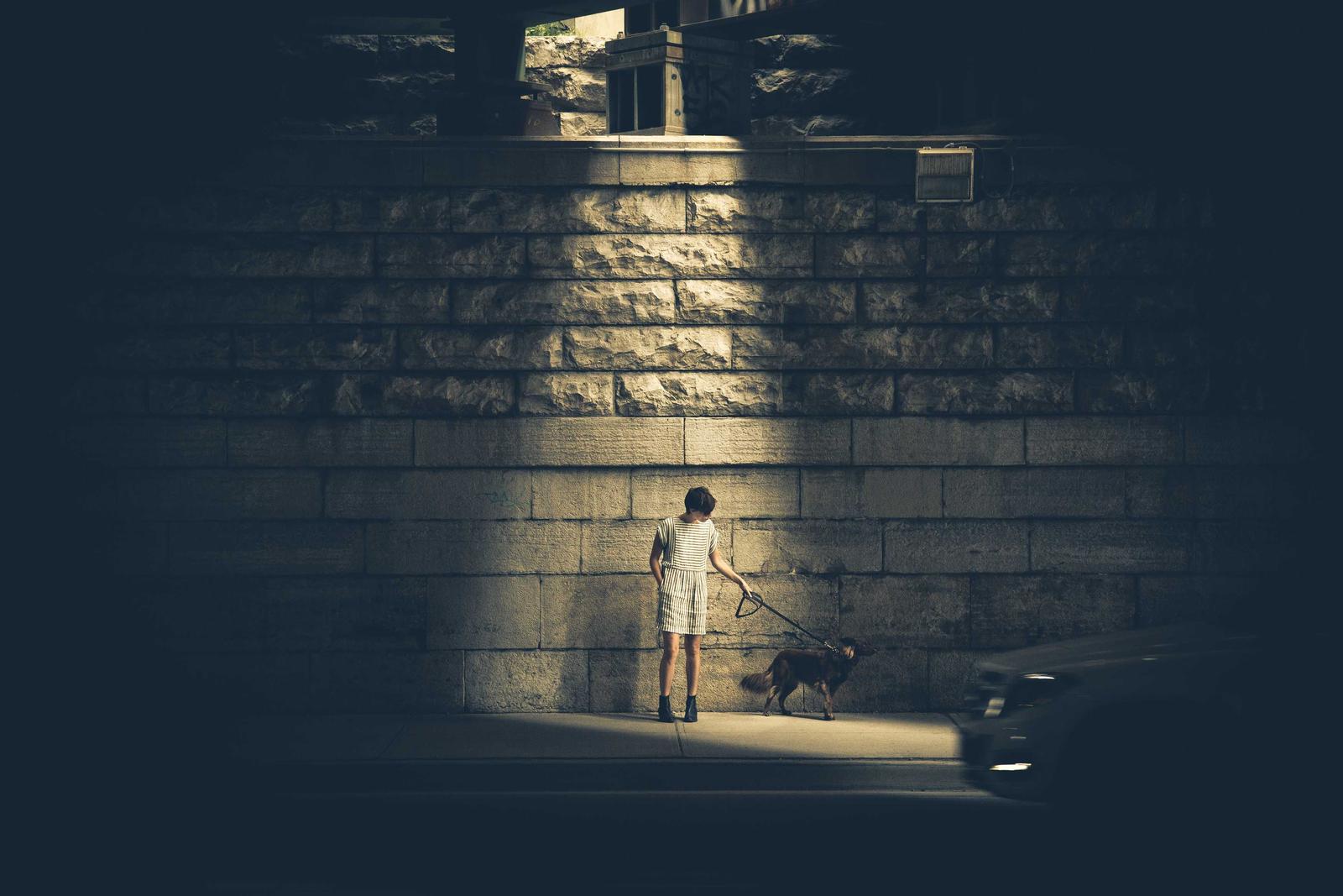 Vila Rustică — imagini pentru evenimente în București, București
